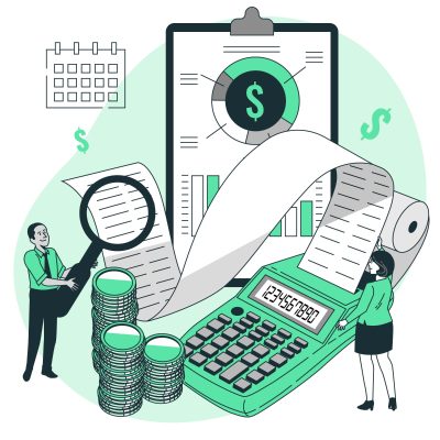 FSL statutory accounts